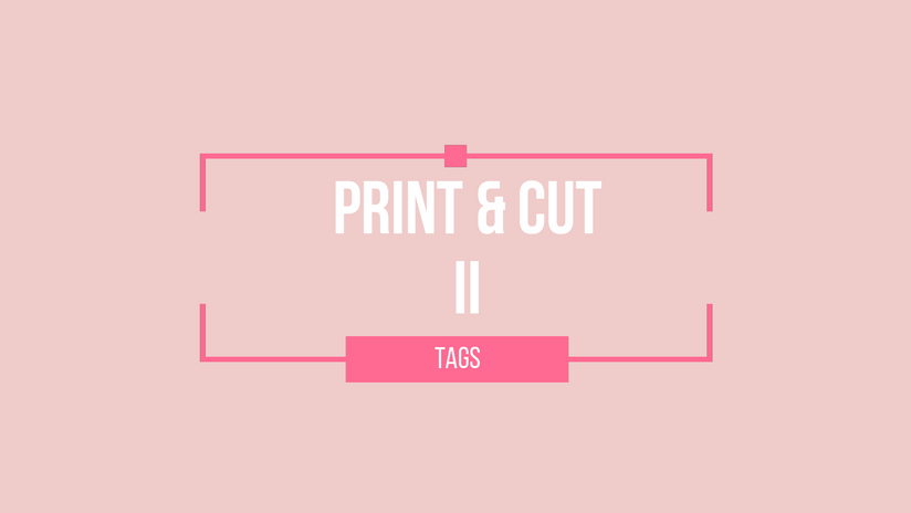 12. TAGS EN CAMEO 4